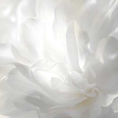 Featured image of Pantone color 2026